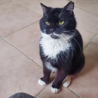 Felix
